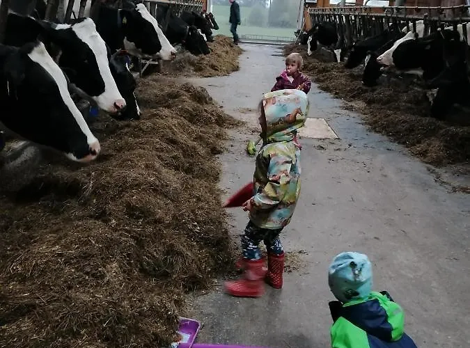 Kastnerhof דירה יאניג